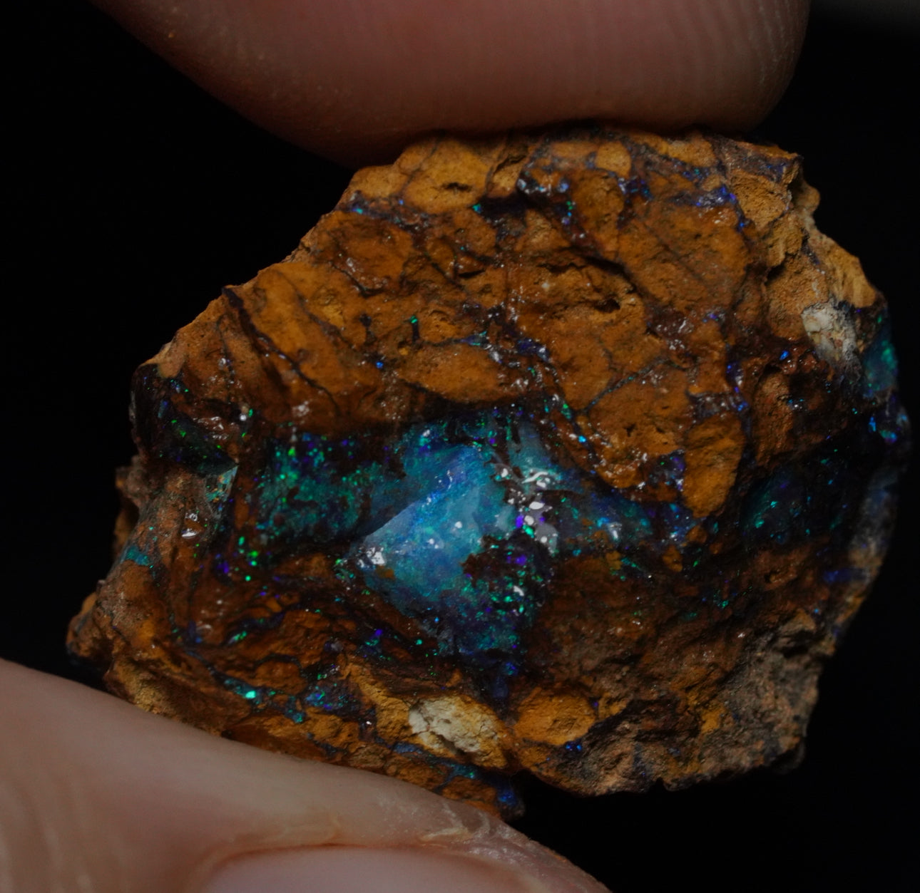 Free Australian Boulder Opal