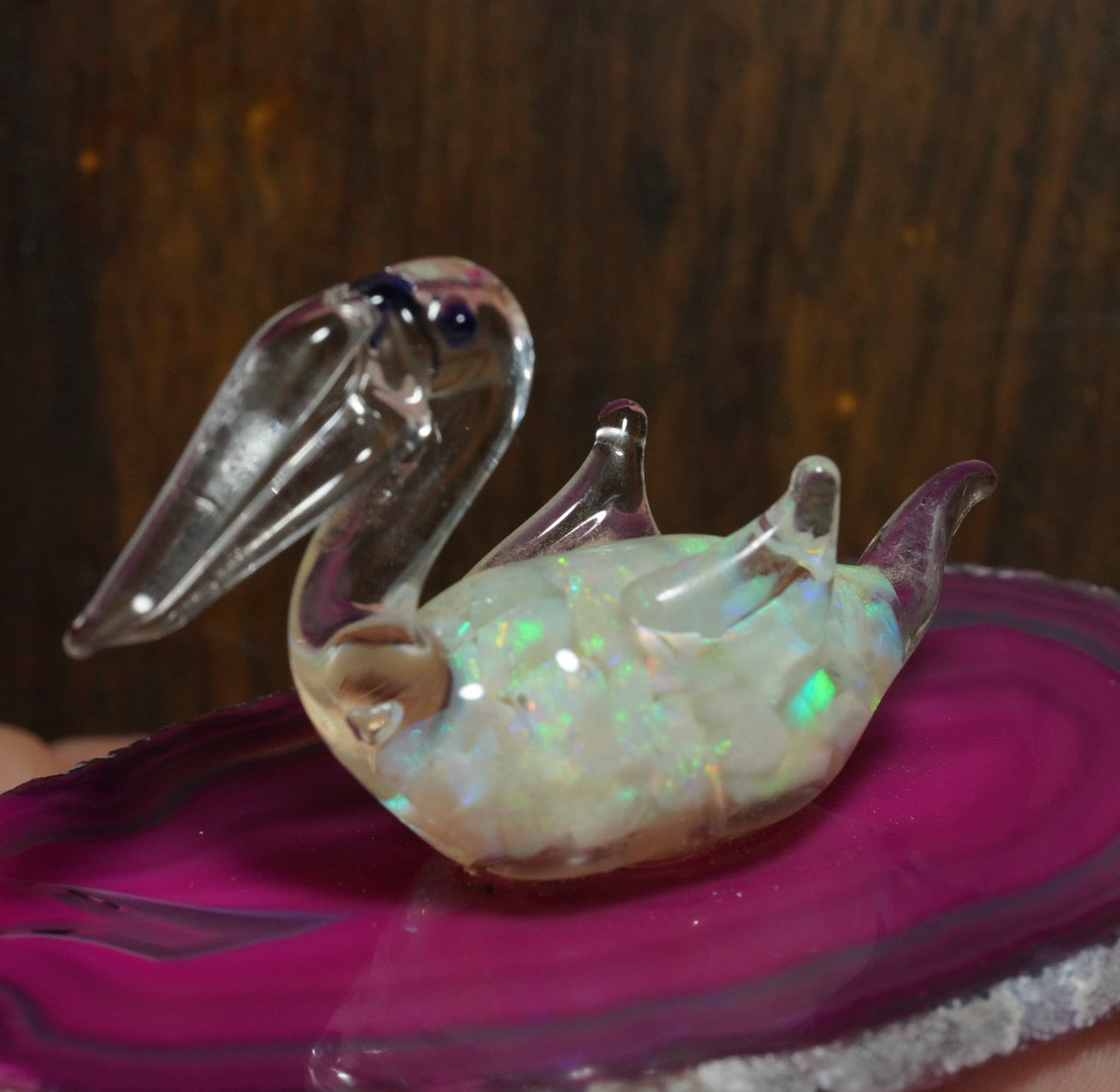 Free Australian Opal Pelican