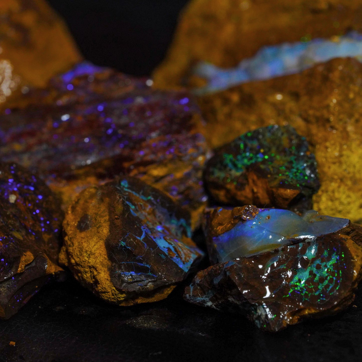 Opal Hunters Boulder Opal Paydirt