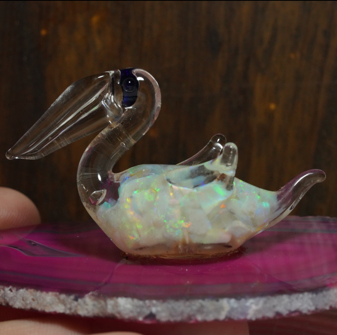 Free Australian Opal Pelican