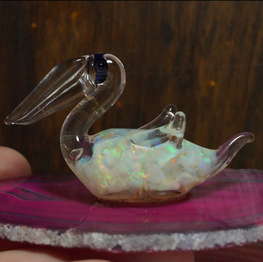 Free Australian Opal Pelican