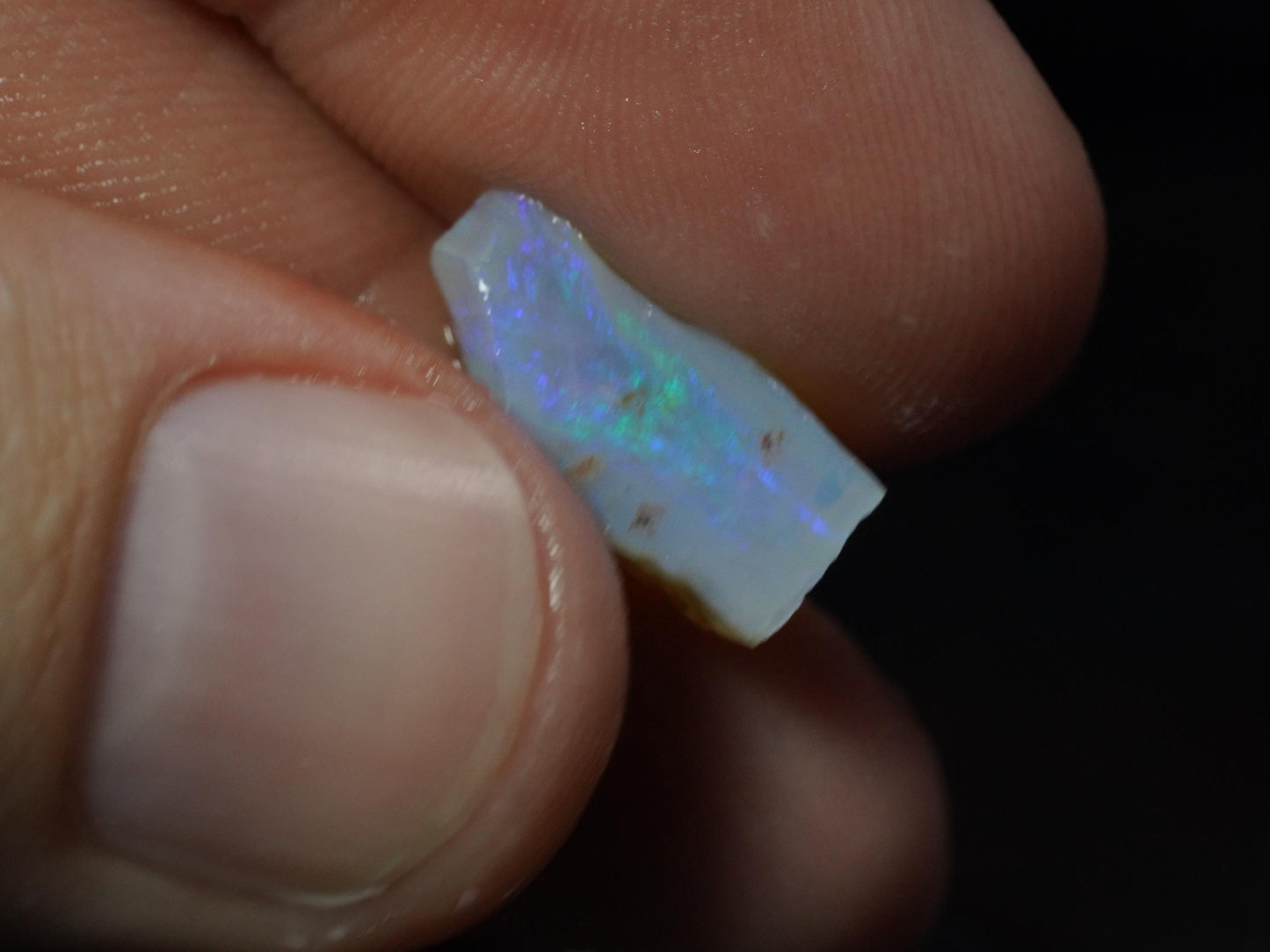 Rough Australian Opal Parcel