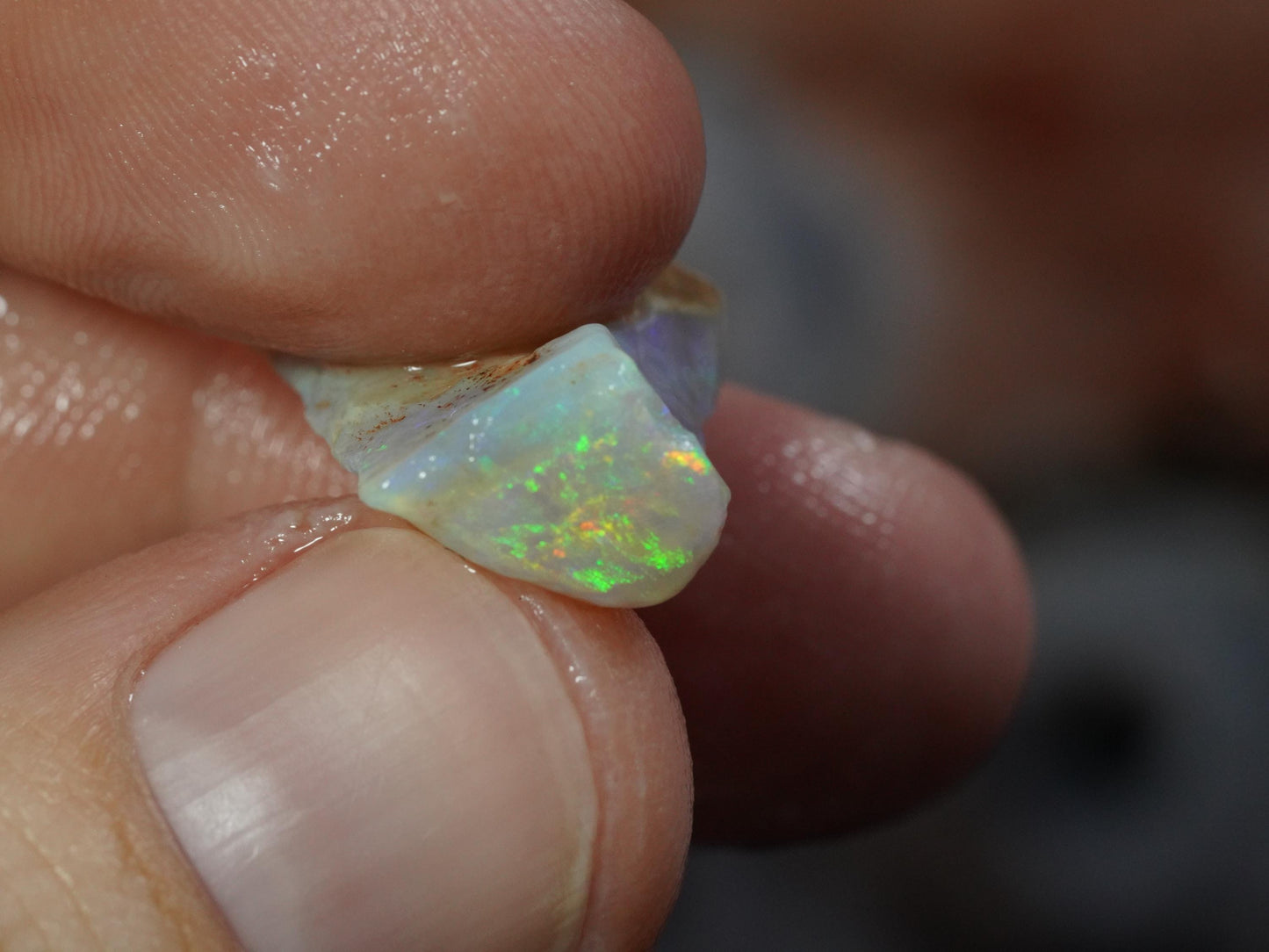 Rough Australian Opal