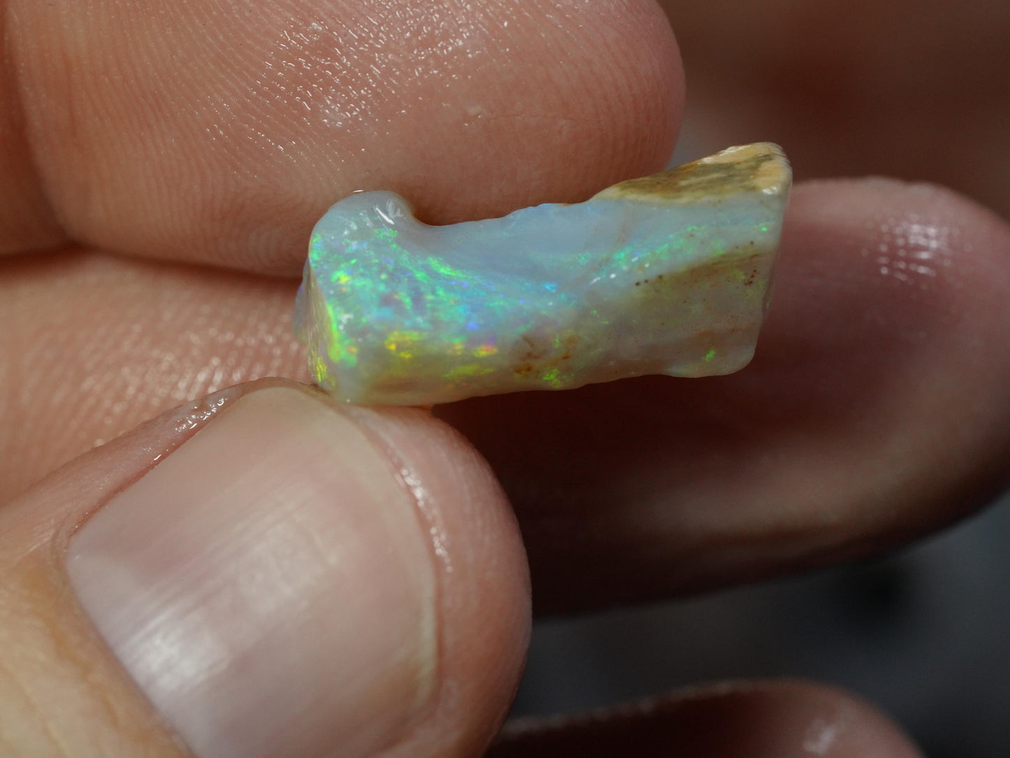 Rough Australian Opal