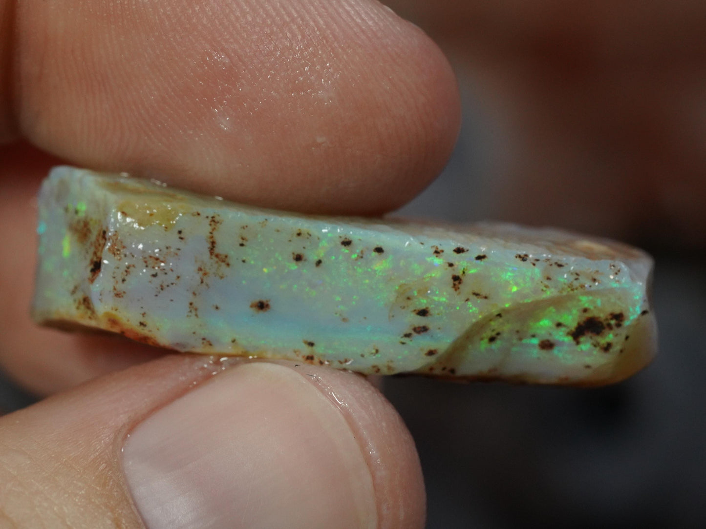 Rough Australian Opal
