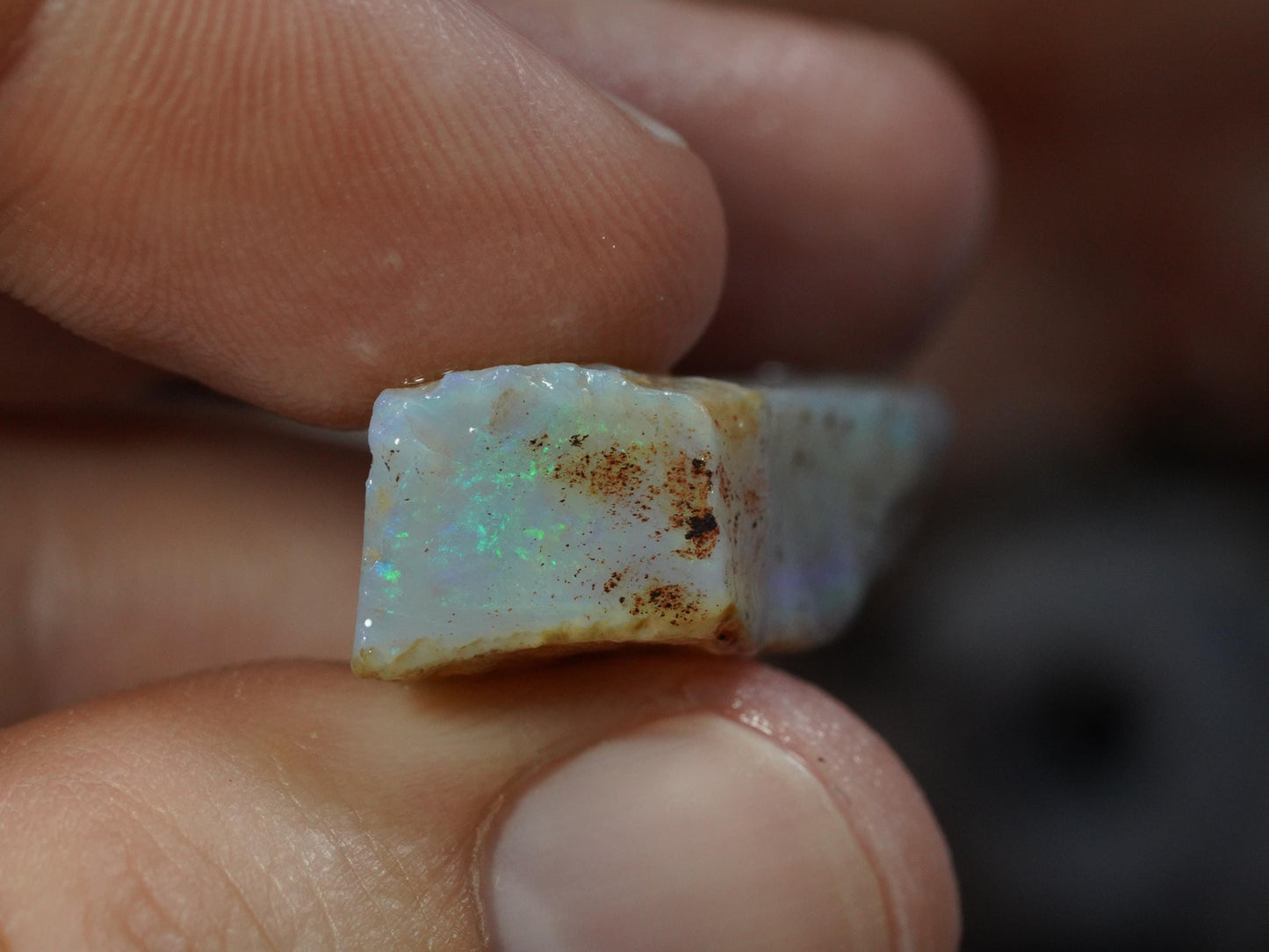 Rough Australian Opal