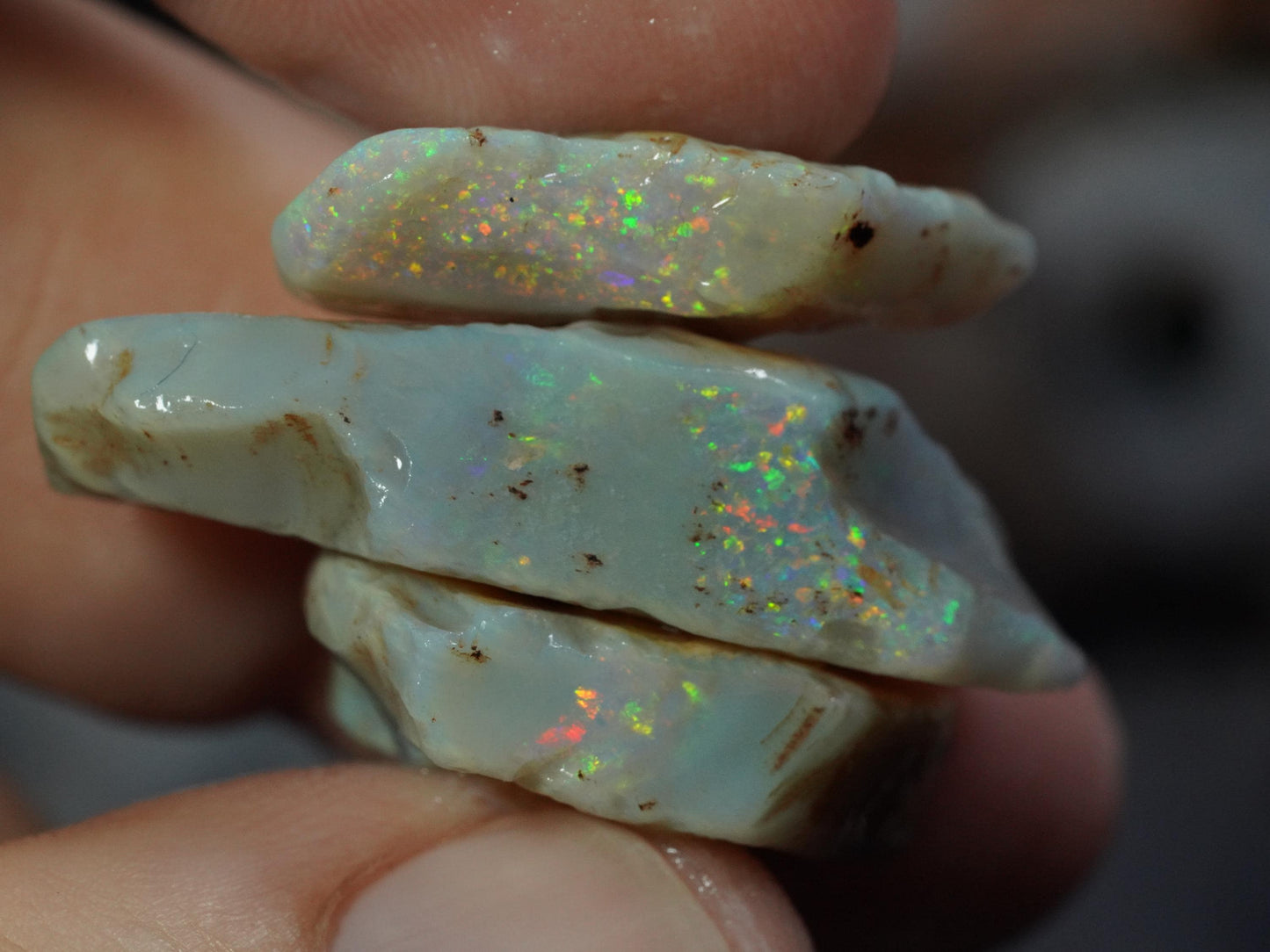 Rough Australian Opal