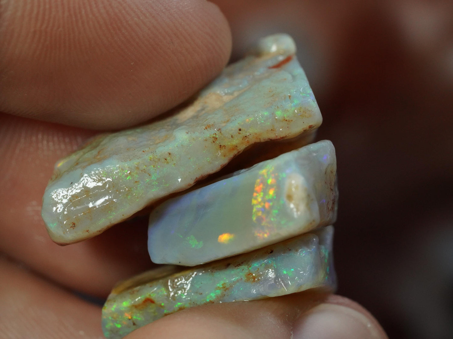 Rough Australian Opal
