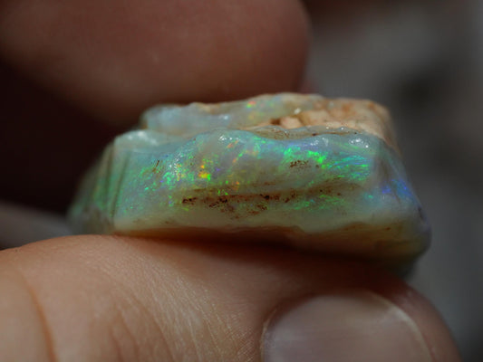 Rough Australian Opal