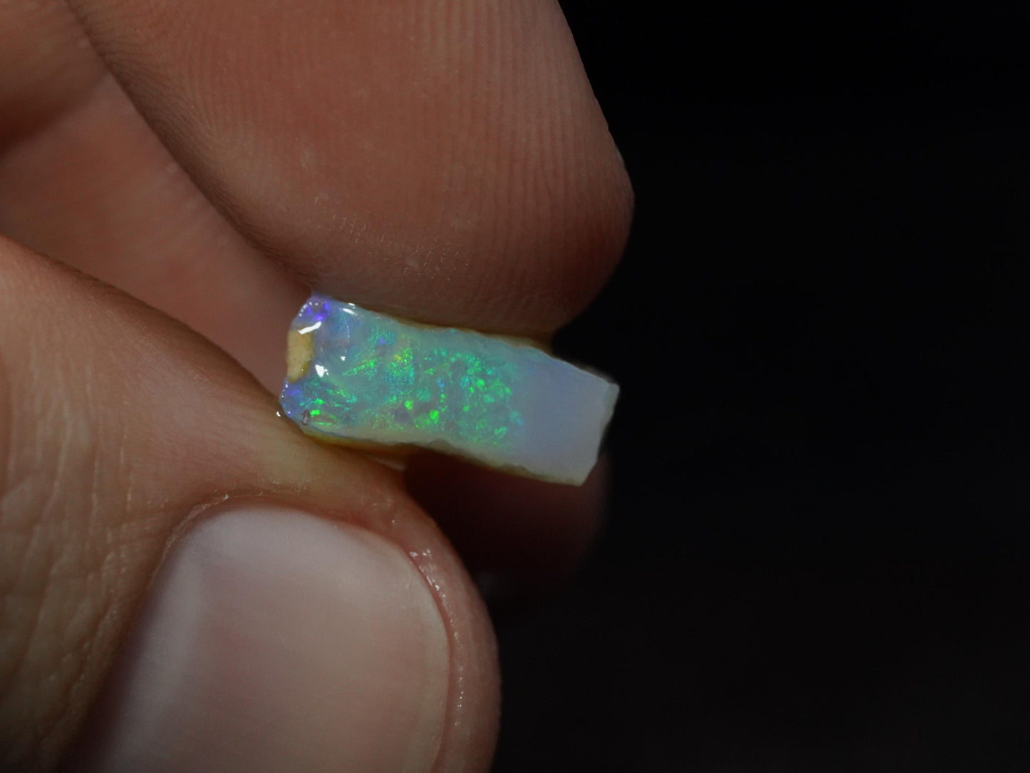Rough Australian Opal Parcel