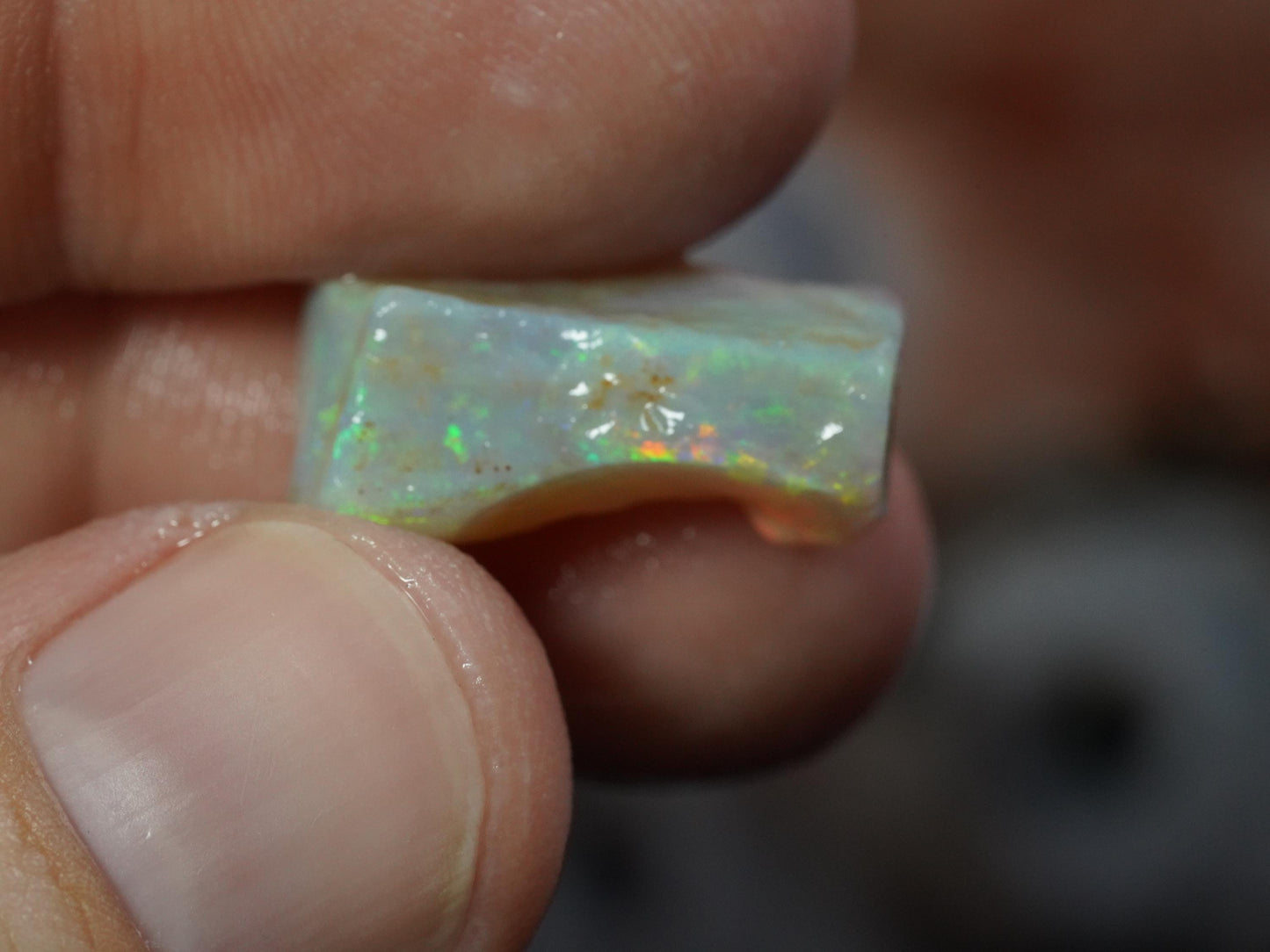Rough Australian Opal