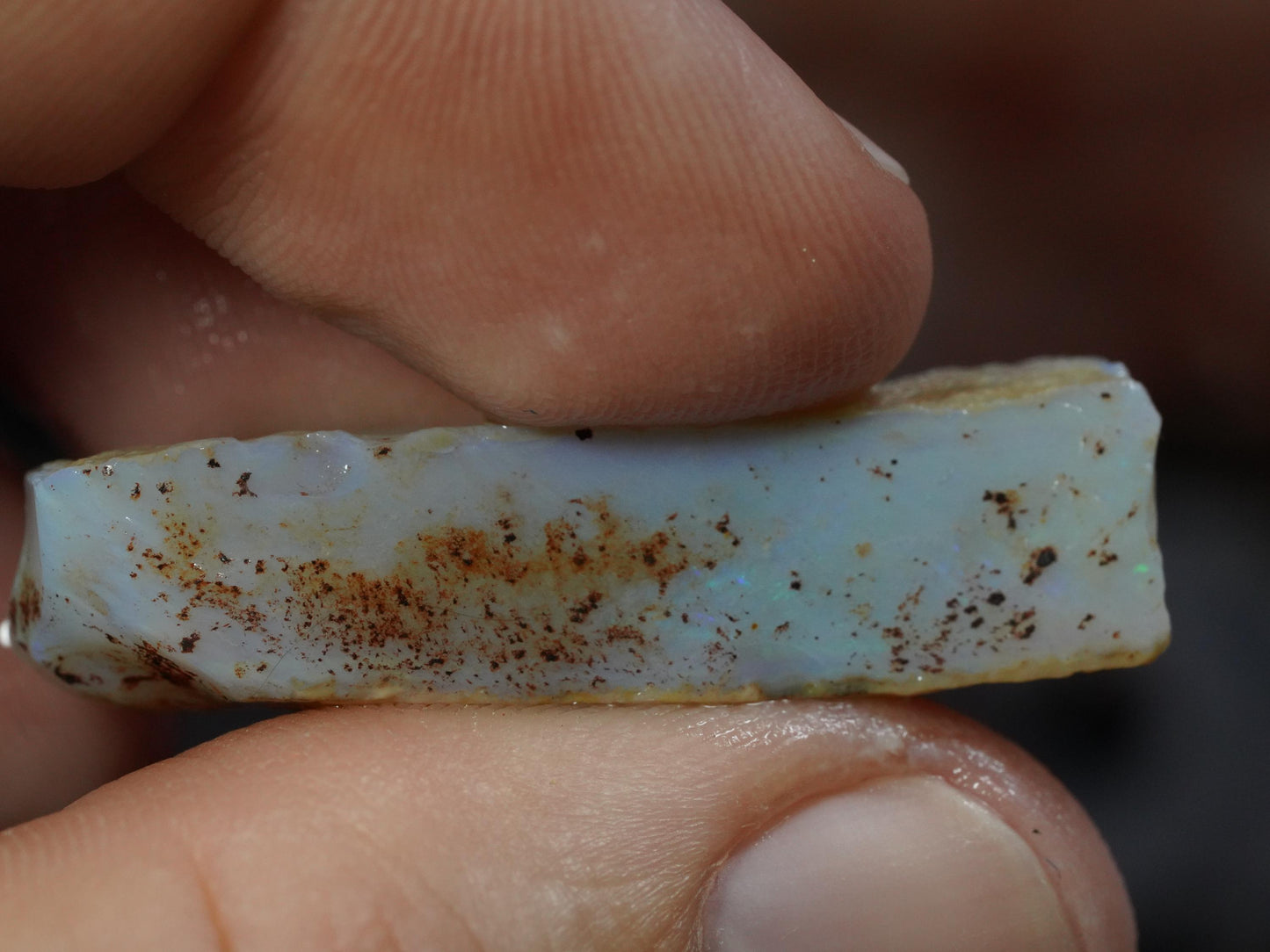 Rough Australian Opal