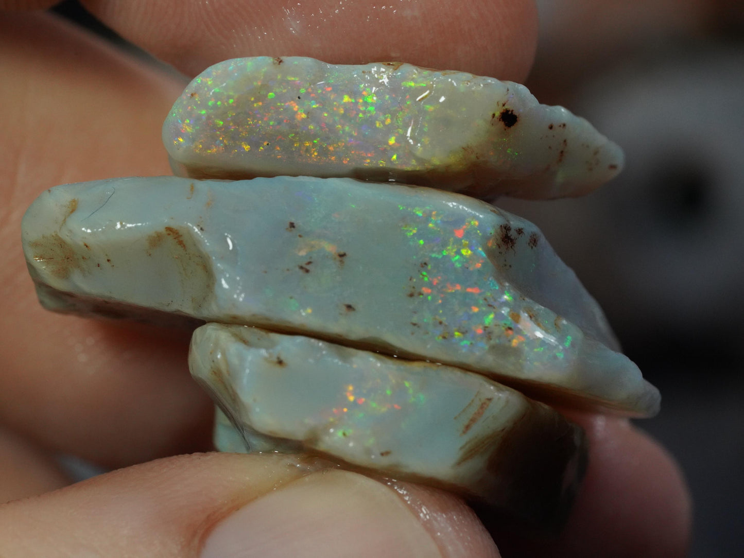 Rough Australian Opal