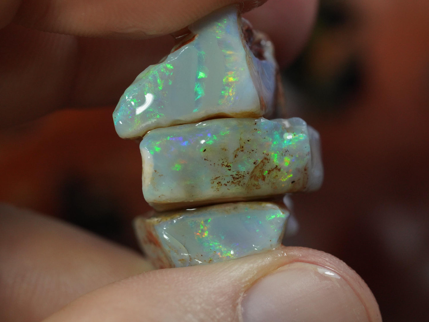 Rough Australian Opal