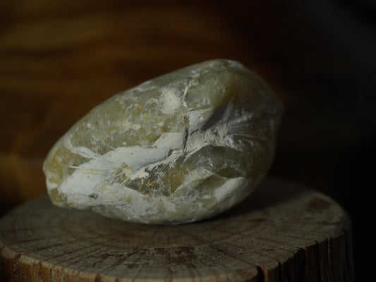 Opal Sea Shell Fossil
