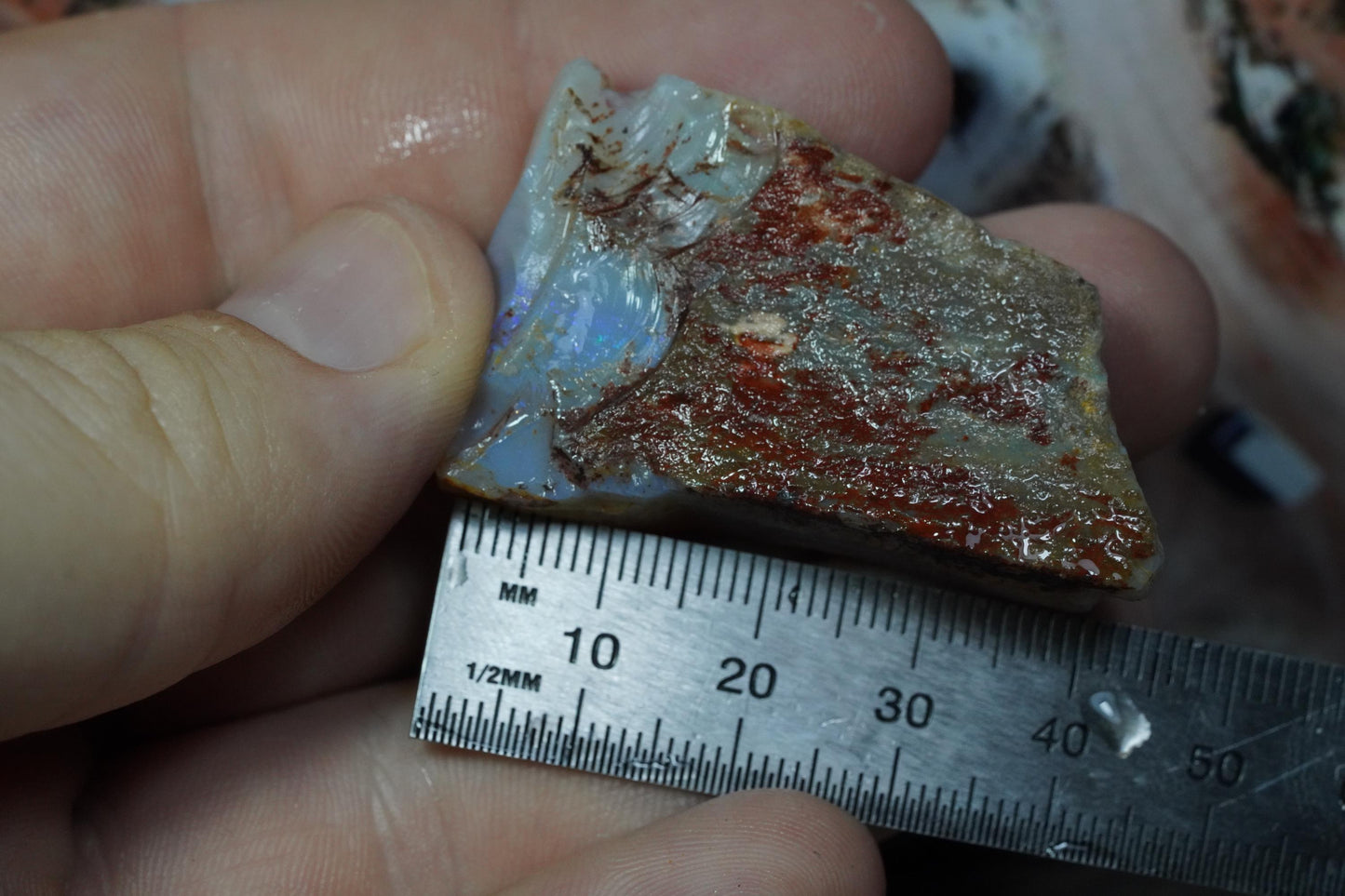 Rough Australian Opal