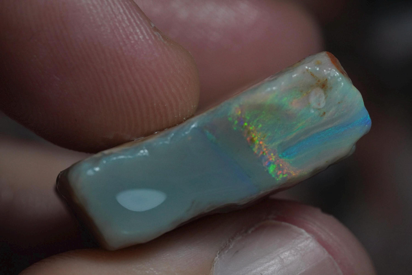 Rough Australian Opal