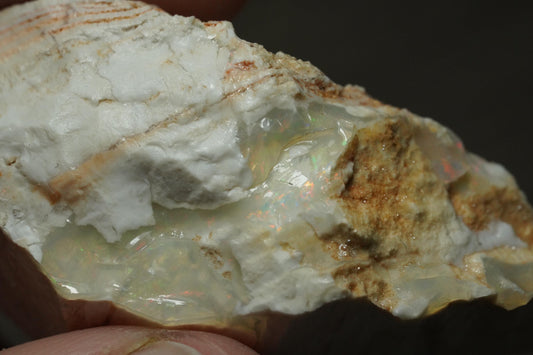 Petrified Opalised Wood Fossil Specimen