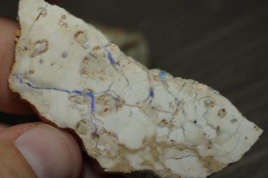 Petrified Opalised Wood Fossil Specimen