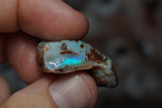 Rough Australian Opal