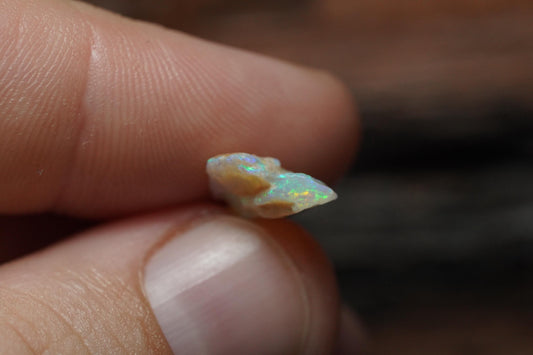 Rough Australian Opal