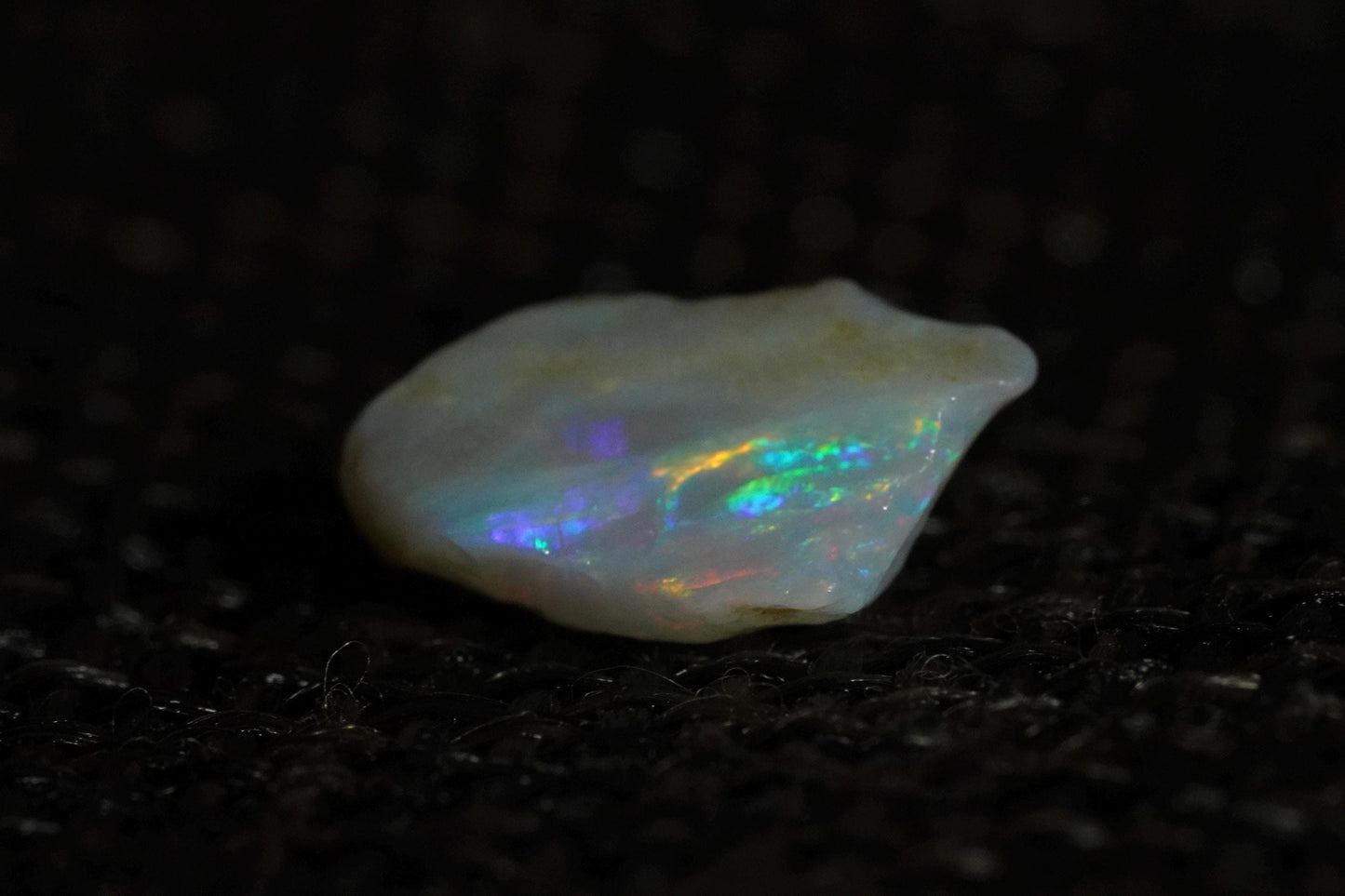 Rough Australian Opal