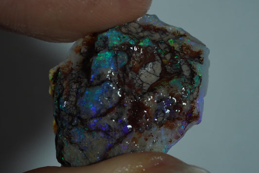 Rough Australian Opal