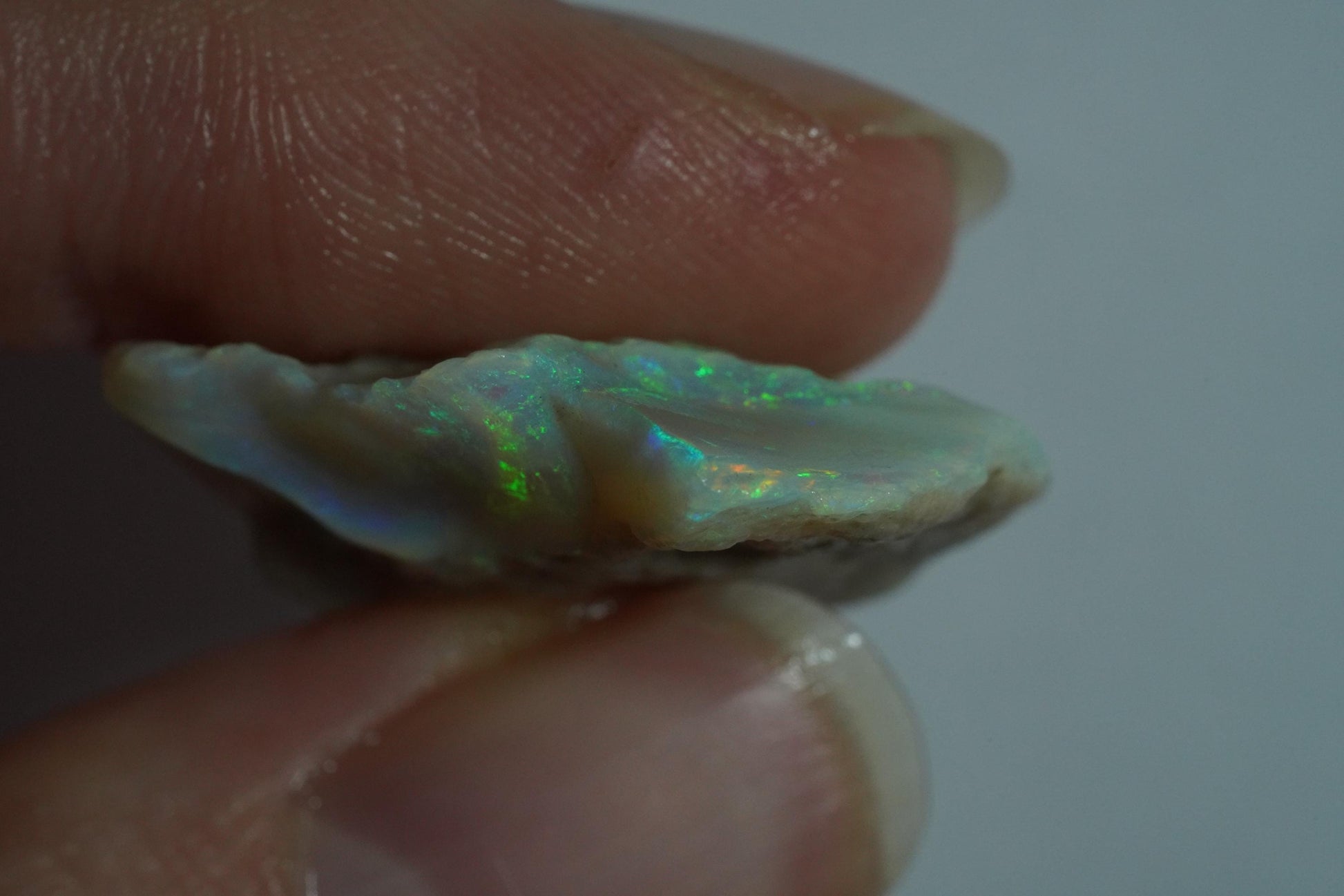 Rough Australian Opal