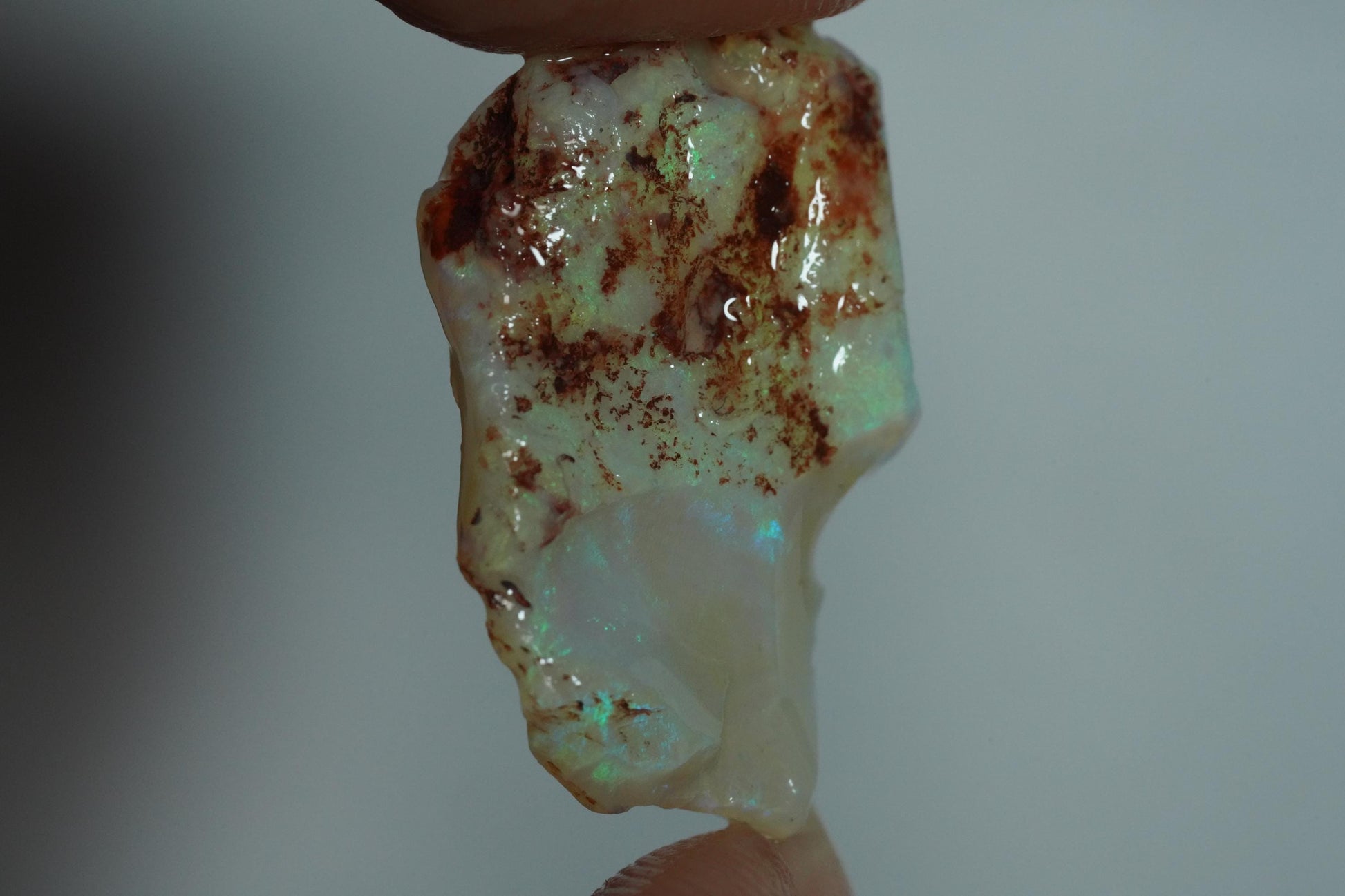 Rough Australian Opal