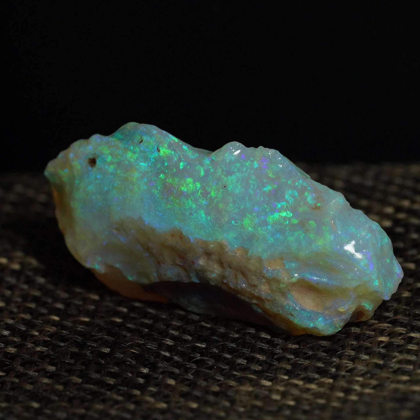 Rough Australian Opal