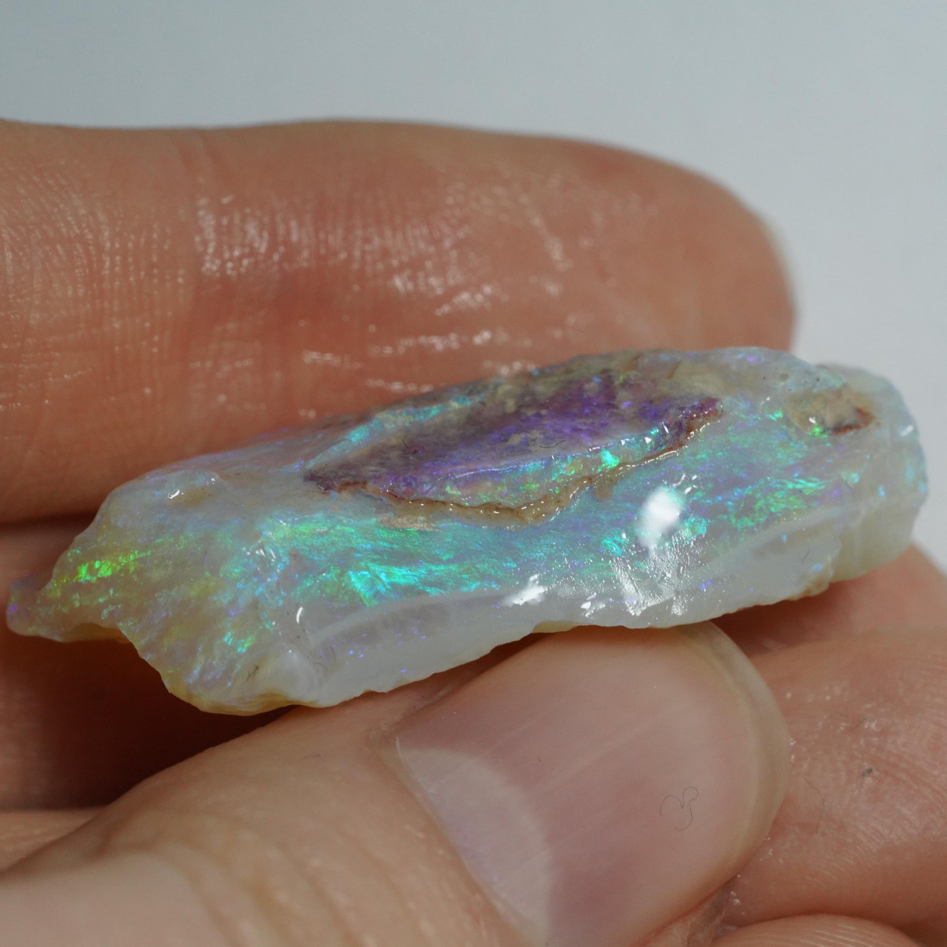 Rough Australian Opal