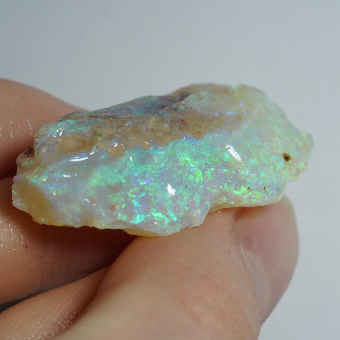 Rough Australian Opal