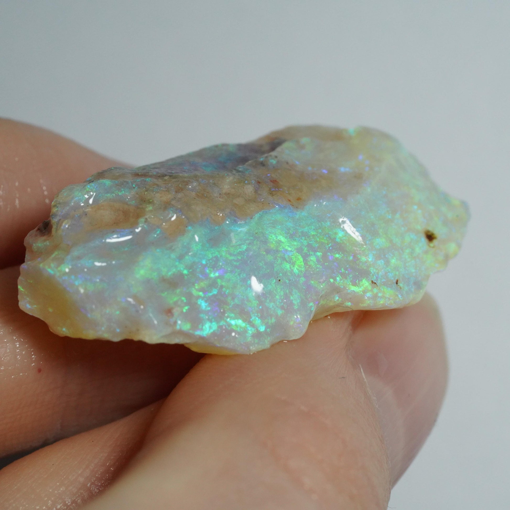 Rough Australian Opal