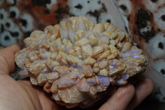 Opal Pineapple