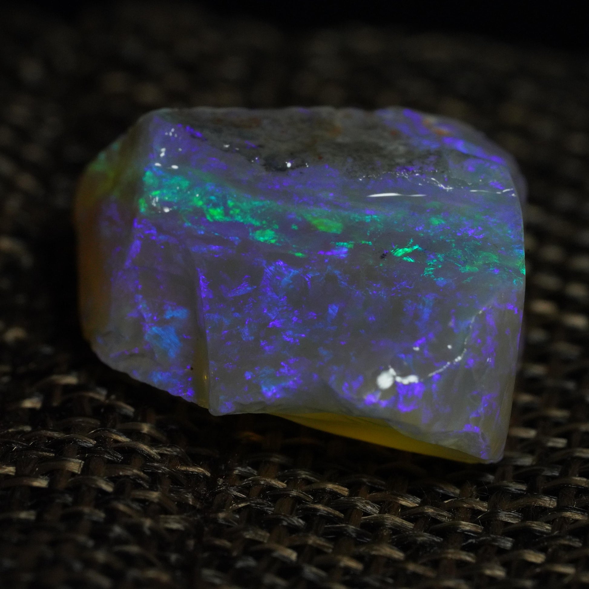 Rough Australian Opal