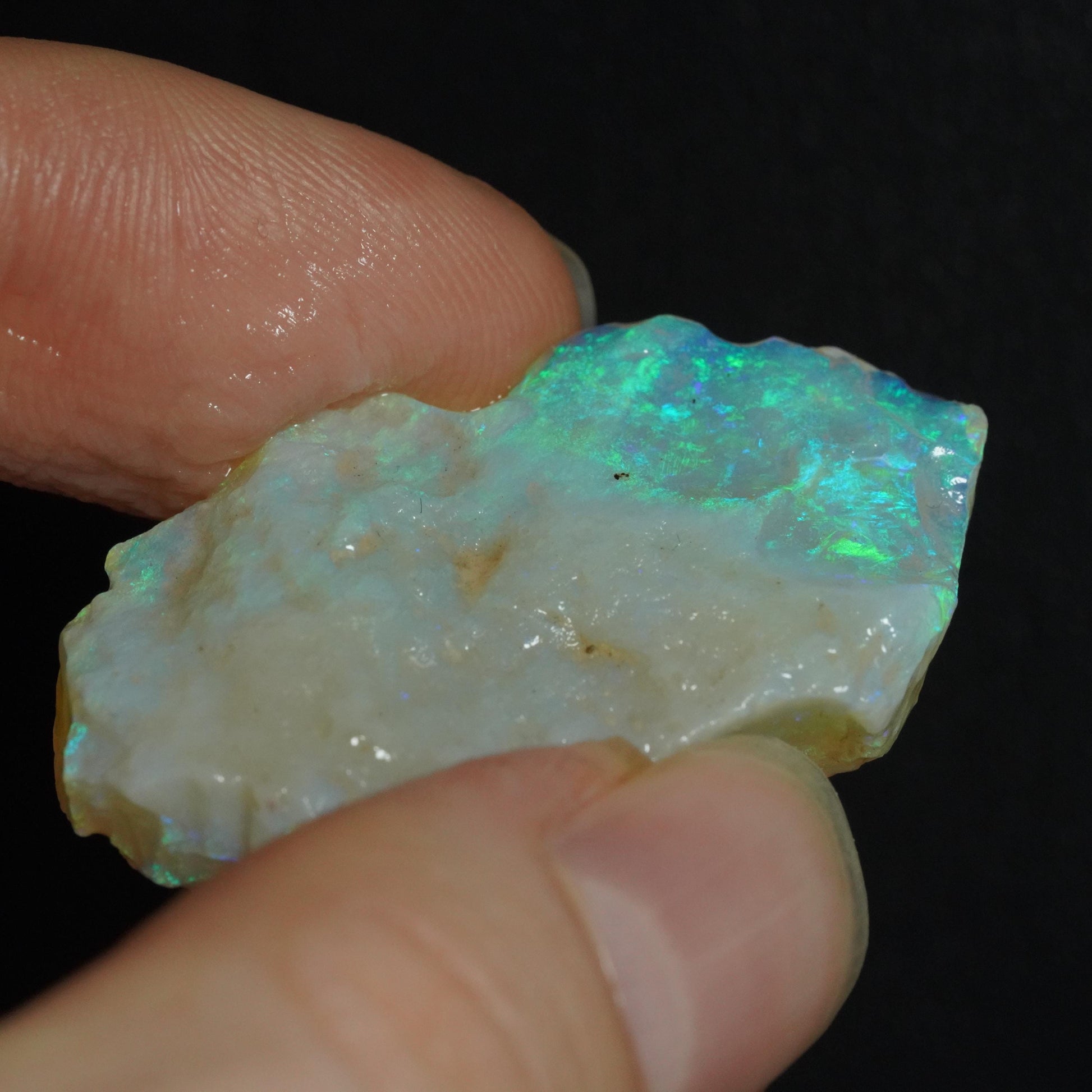 Rough Australian Opal