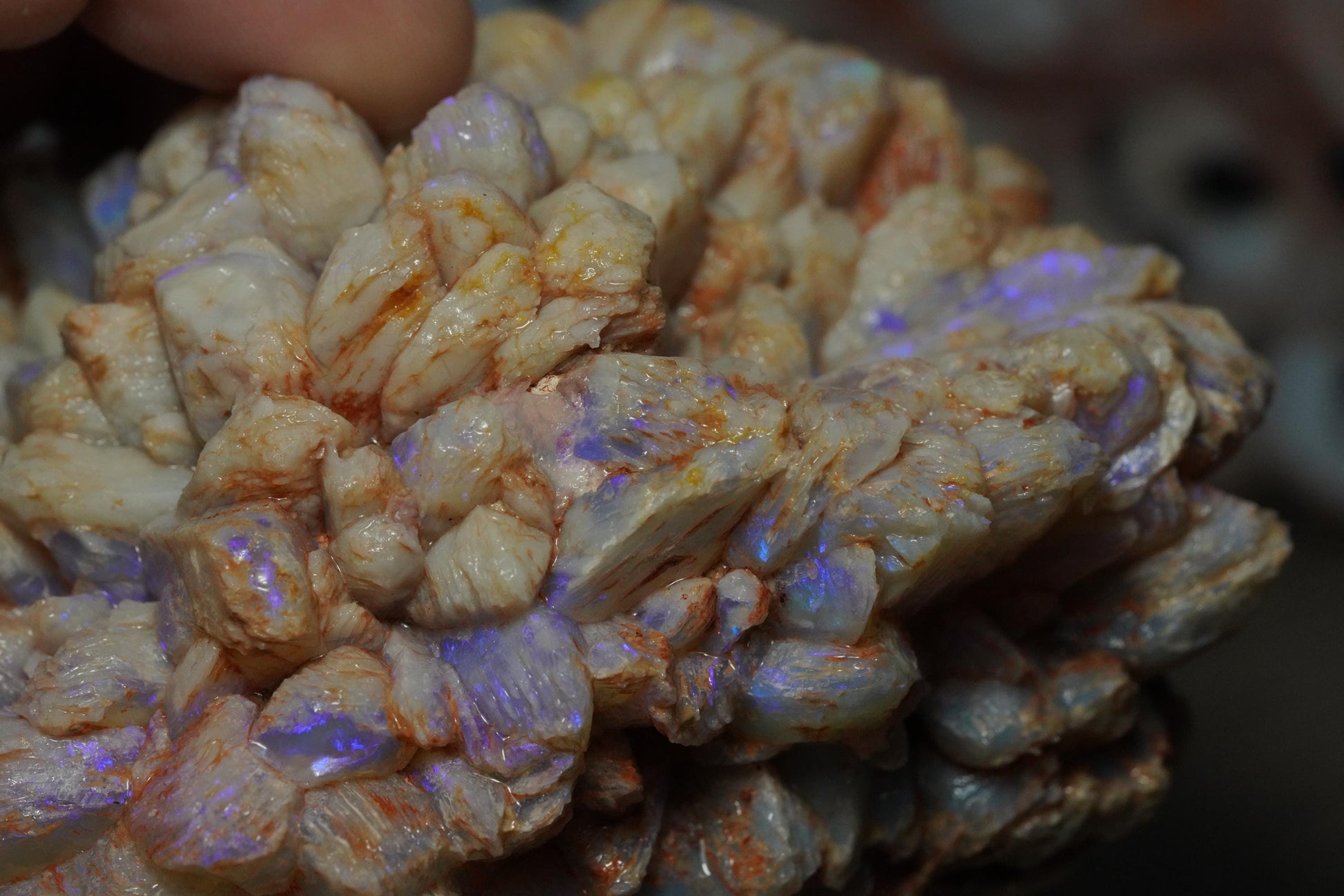 Opal Pineapple