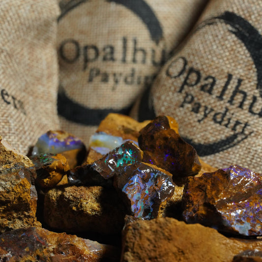 Opal Hunters Boulder Opal Paydirt