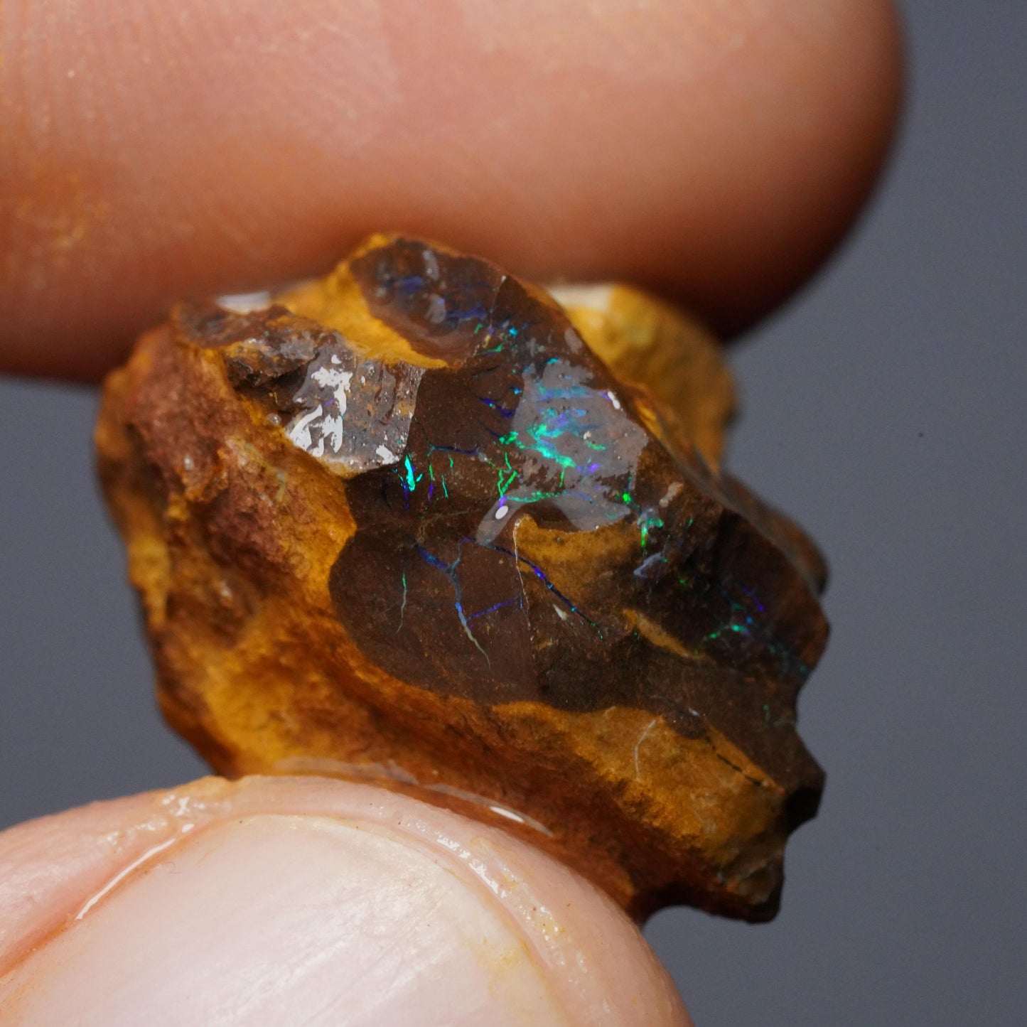 Boulder Opal