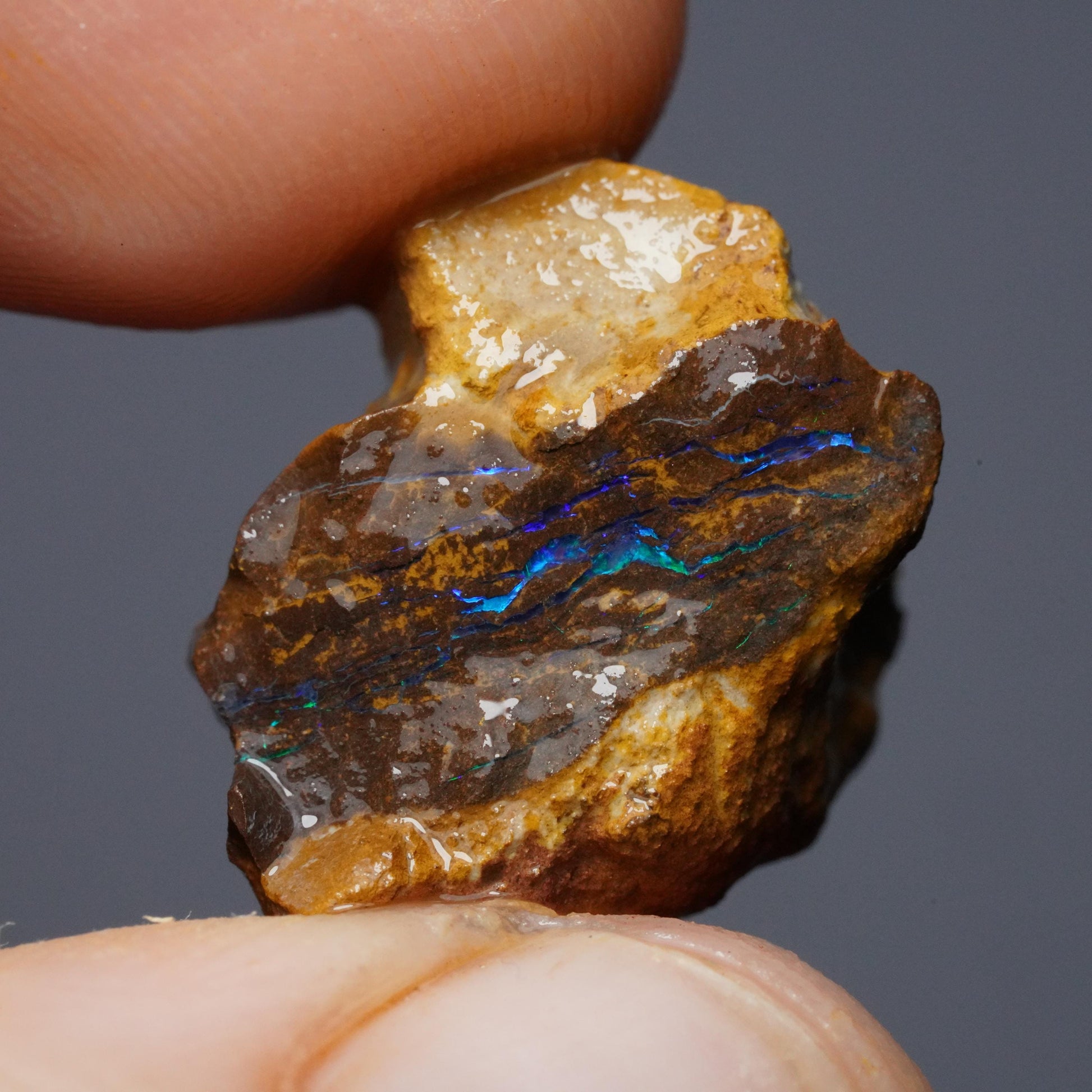 Boulder Opal
