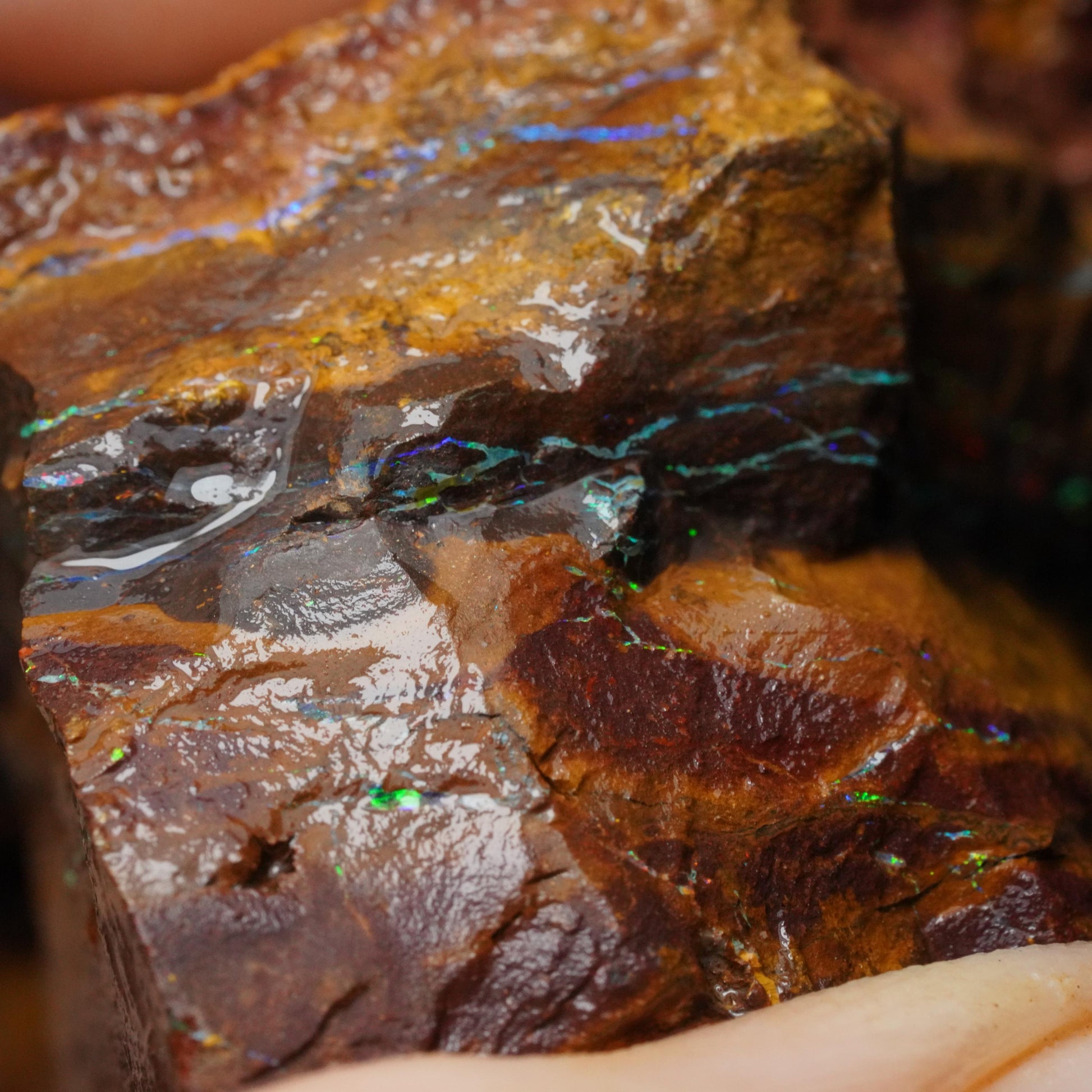 Boulder Opal