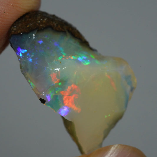 Rough Boulder Opal