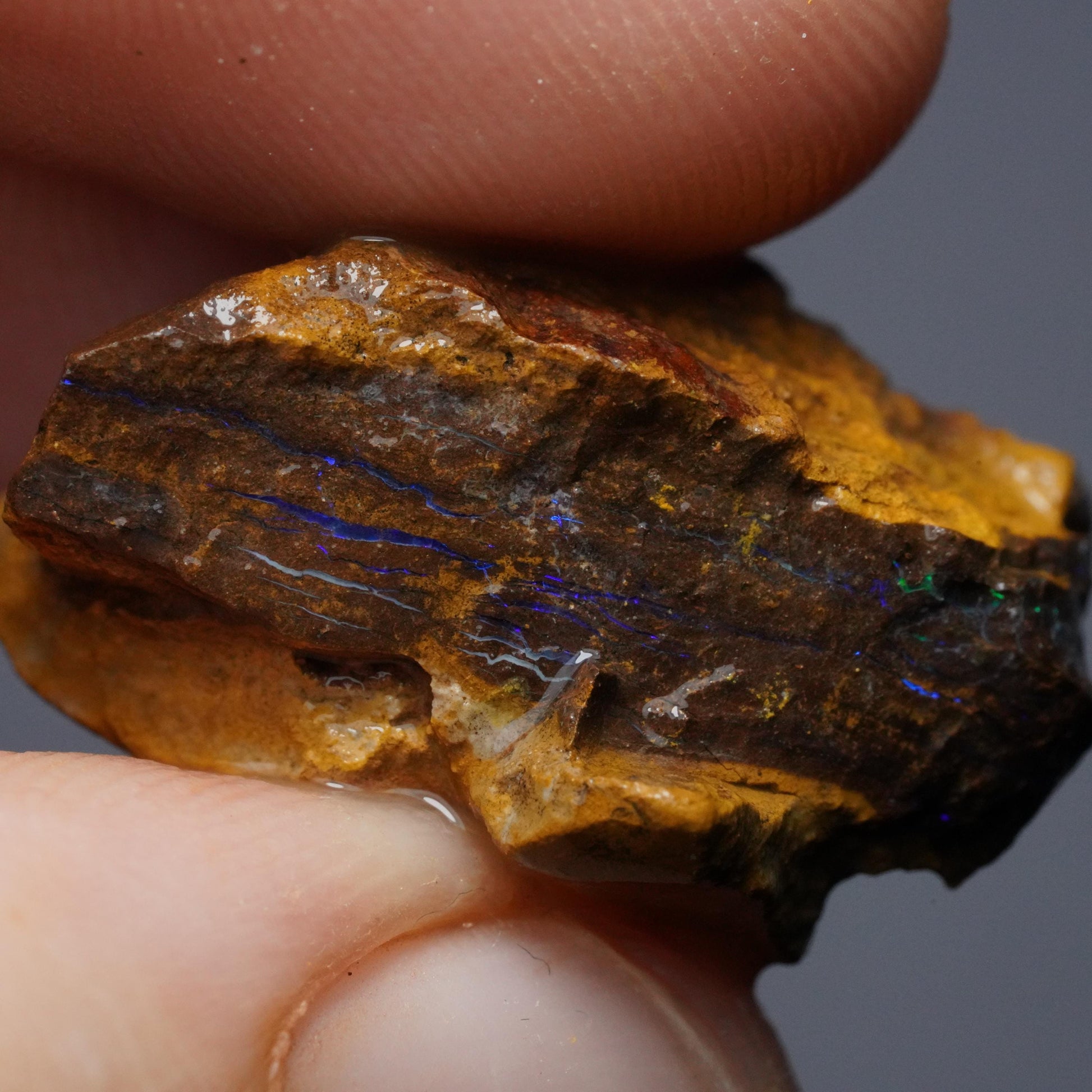 Boulder Opal