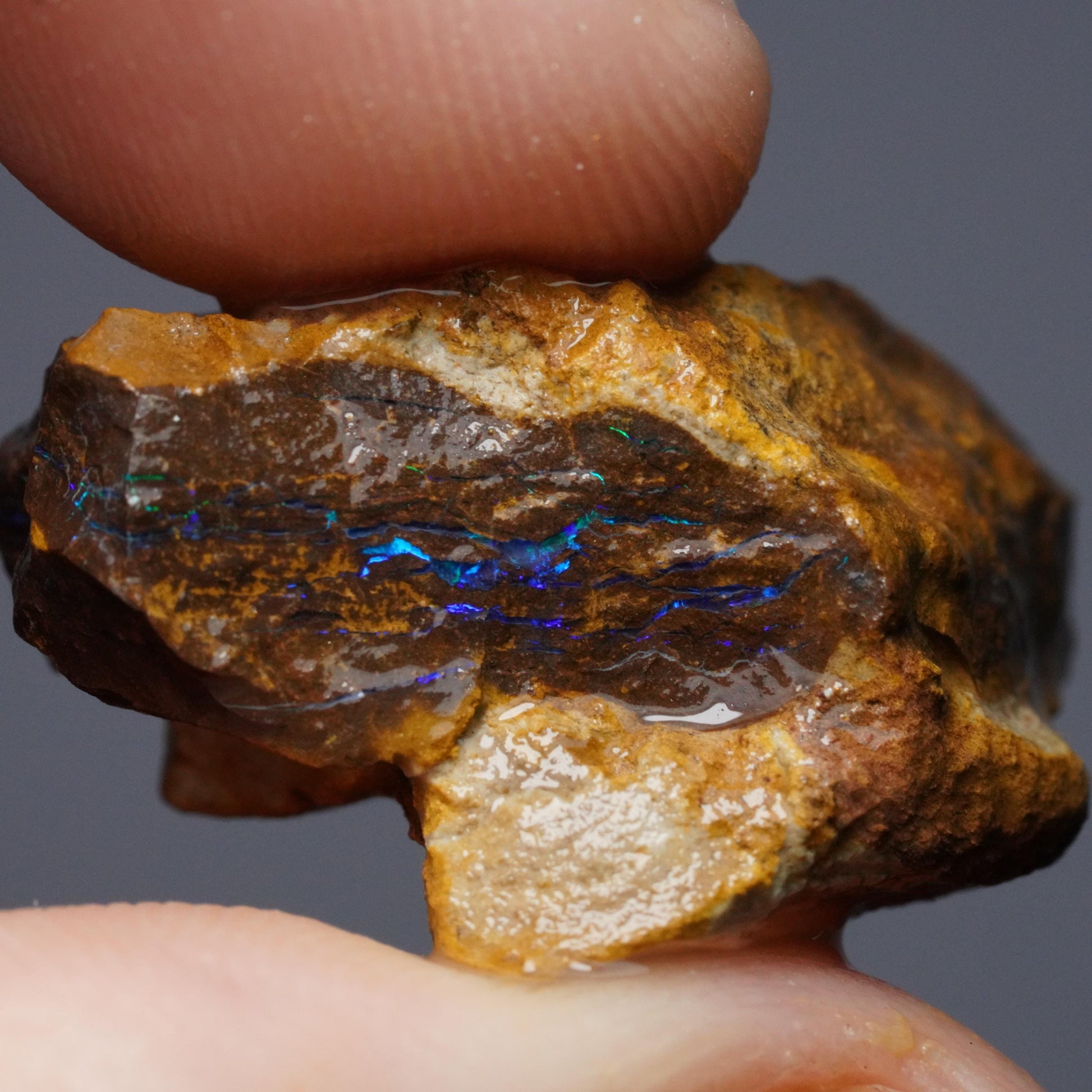 Boulder Opal