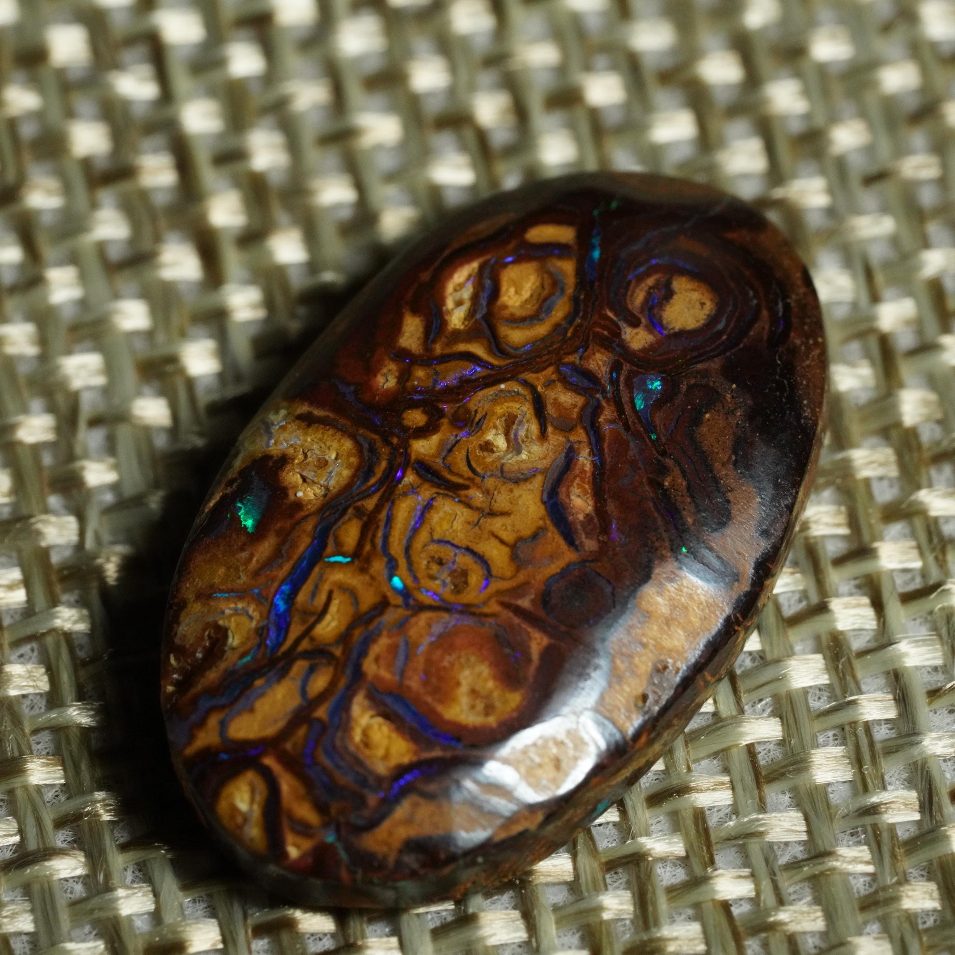 Boulder Opal Cut Stone