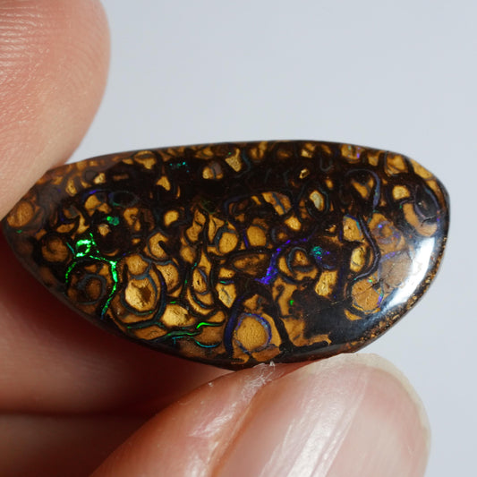 Boulder Opal Cut Stone