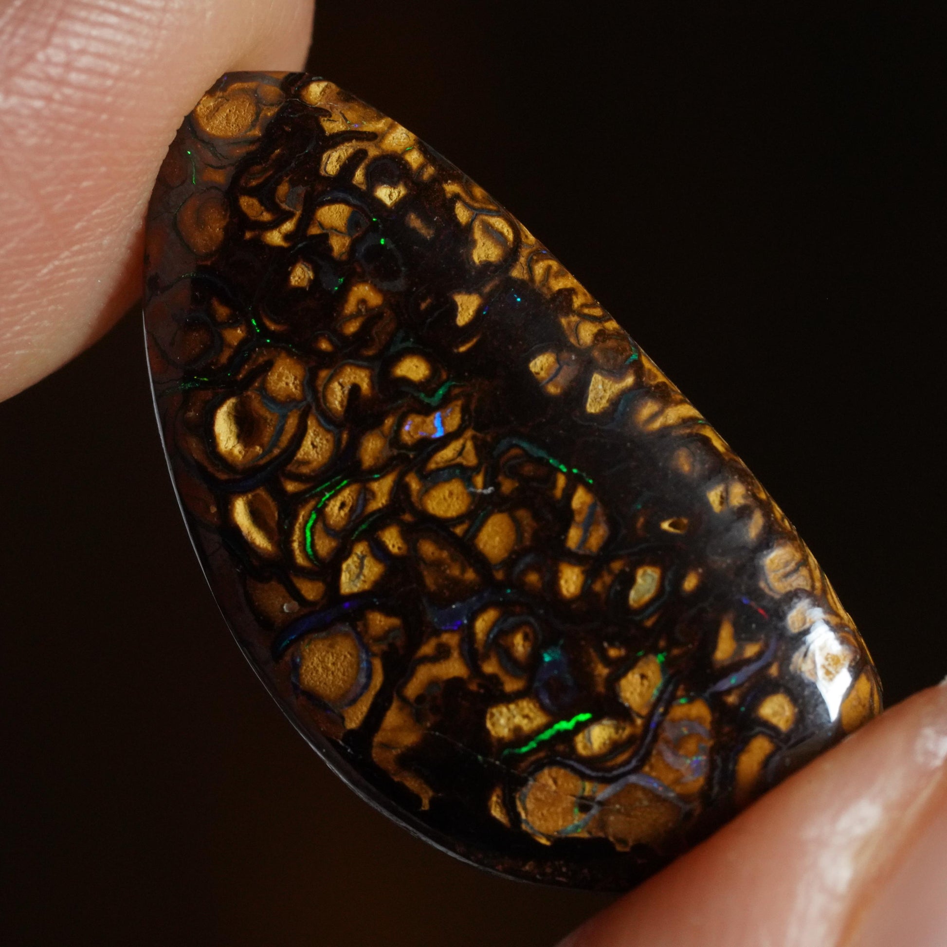 Boulder Opal Cut Stone