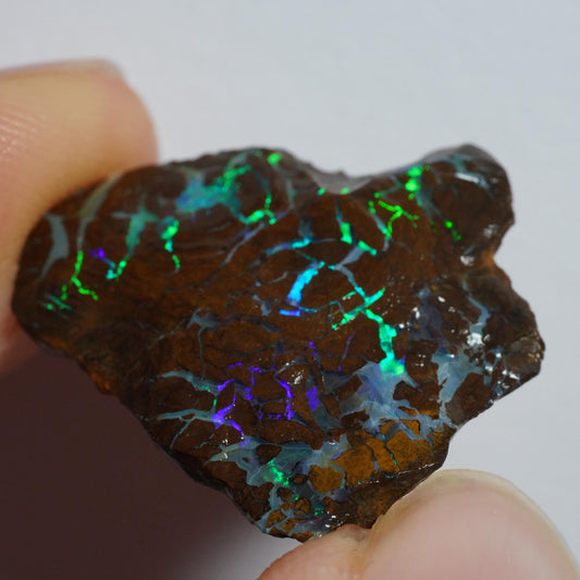 Rough Boulder Opal
