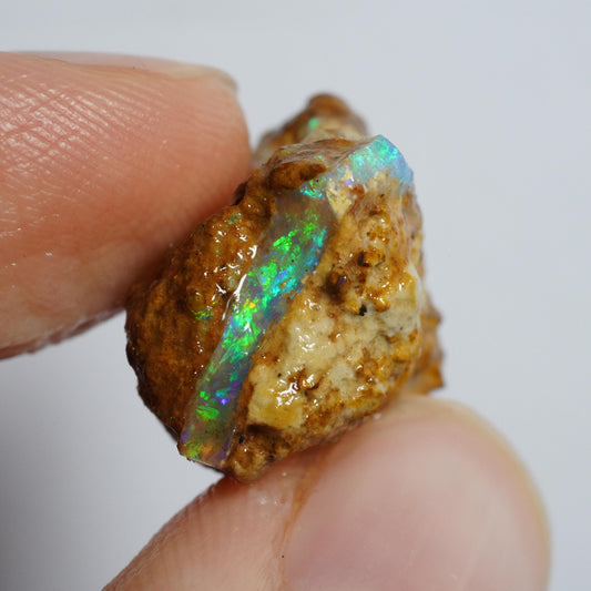 Rough Boulder Opal