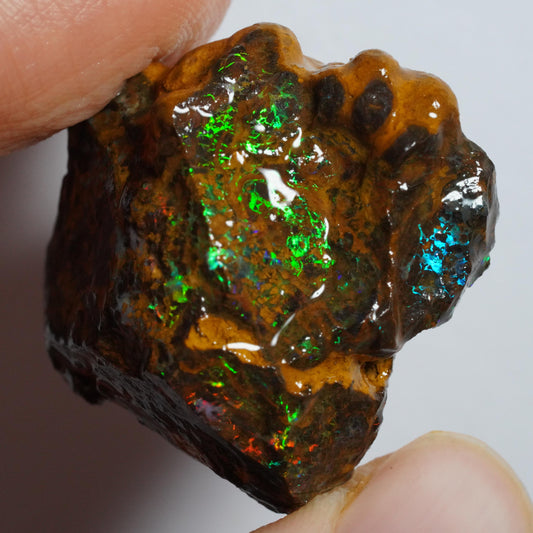 Rough Boulder Opal